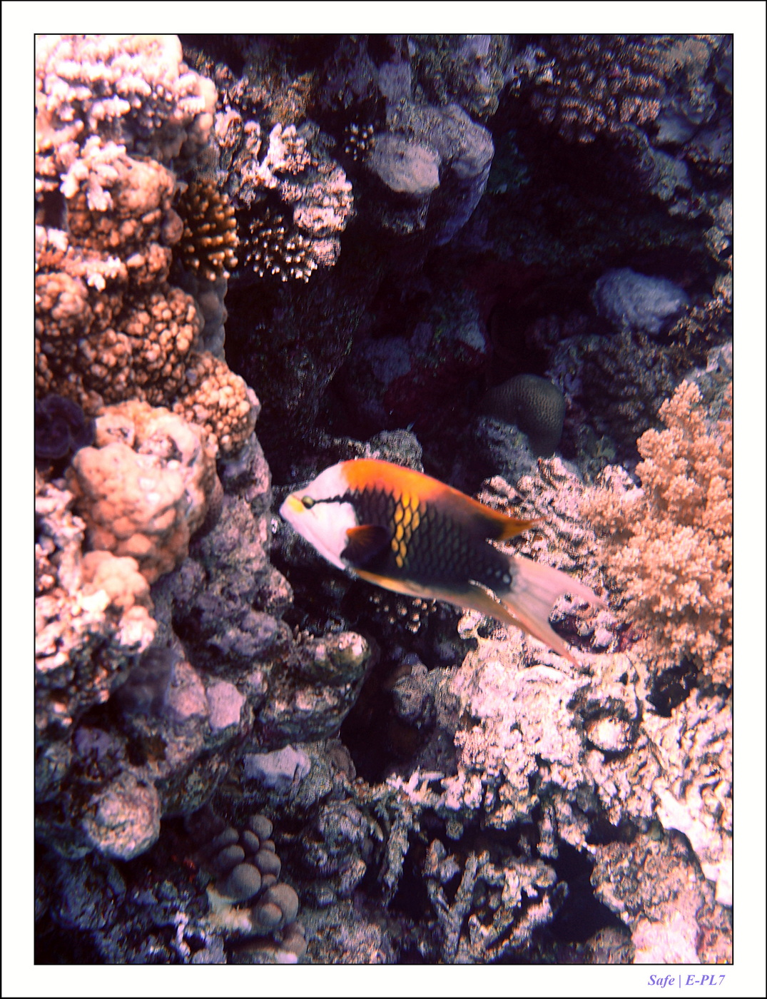 2023 - 03 - Charm El Sheikh - 14